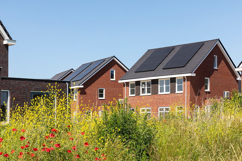 Solar panels on the roof of new built houses in The Netherlands collecting green energy from the sun in a modern and sustainable way. New technology on Dutch houses surrounded by nature and poppy flowers